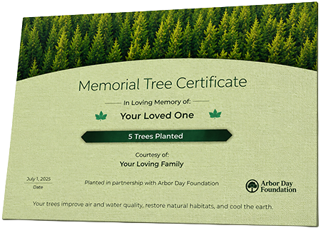 Plant Trees in Memory of Richardson Monroe